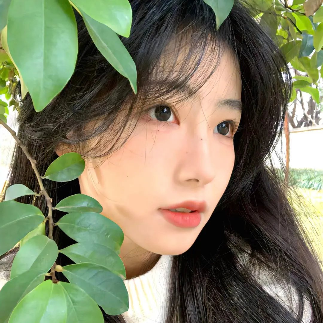 如果风知道
